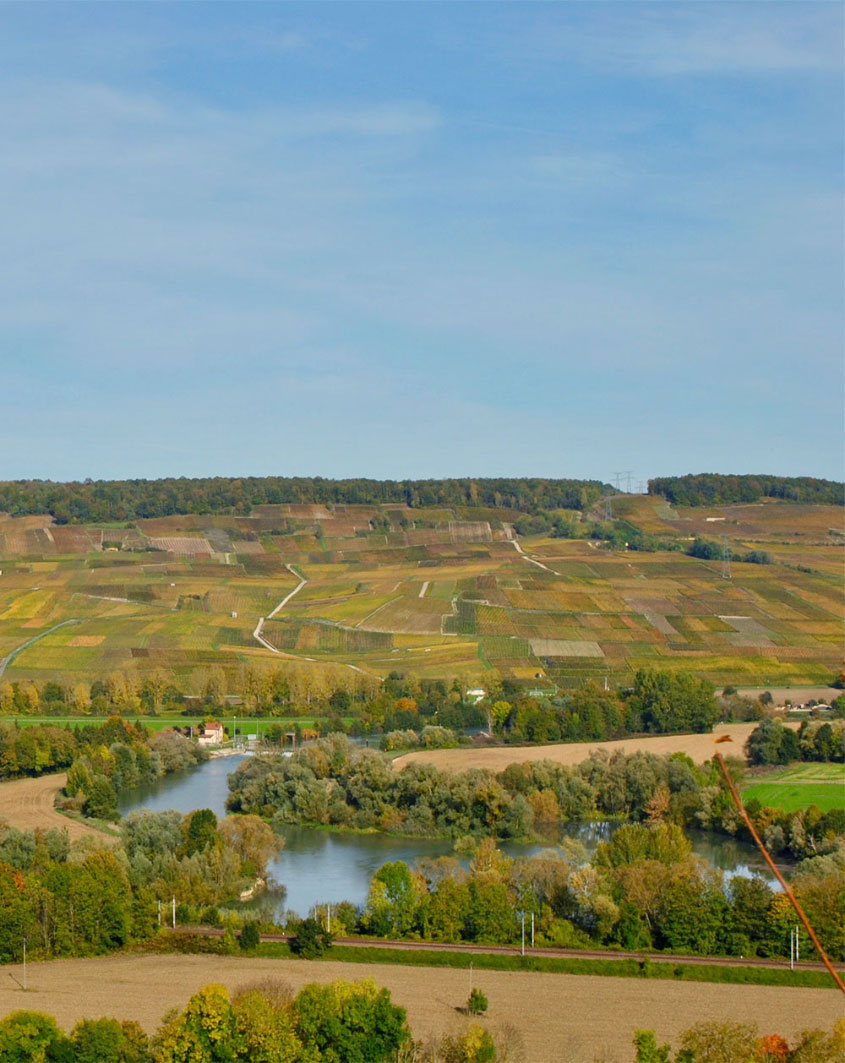 Vallée de la Marne