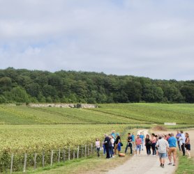 60 ans que nous cultivons votre plaisir