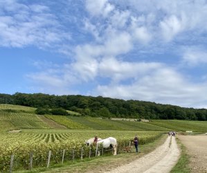 60 ans que nous cultivons votre plaisir